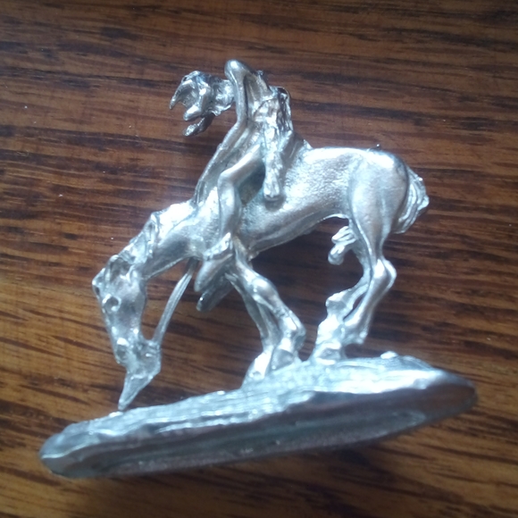 Indian Rider - Picture 2 of 4